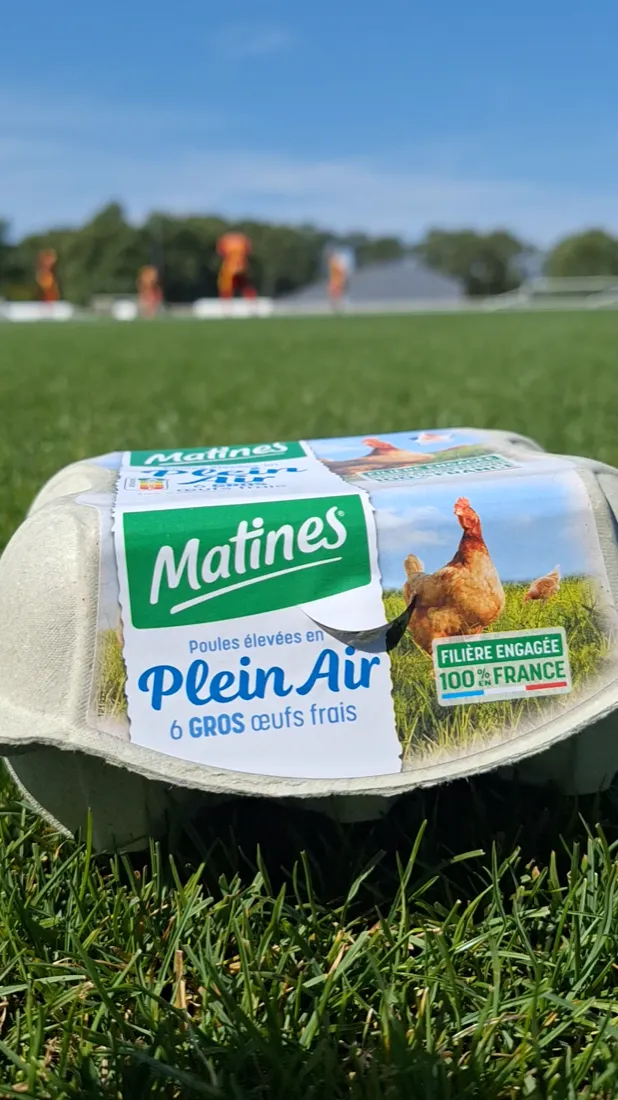 Boîte de 6 œufs Matines au stade